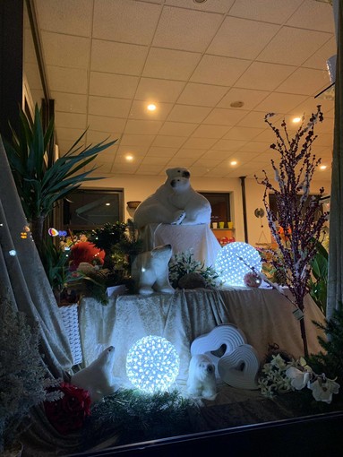 Nasce a Cosseria una nuova realtà per gli amanti del "Pollice Verde" Nasce a Cosseria una nuova realtà per gli amanti del "Pollice Verde"