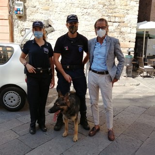 Albenga: il Commissario Lupo incontra il sindaco Riccardo Tomatis