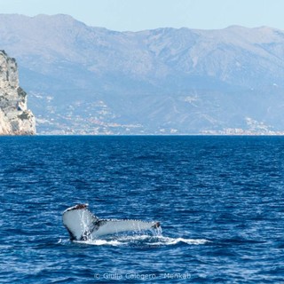 Foto di Giulia Calogero ed Elia Biasissi per Menkab - Il respiro del mare