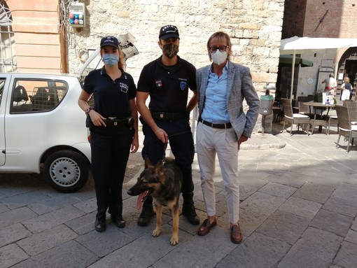 Albenga: il Commissario Lupo incontra il sindaco Riccardo Tomatis Albenga: il Commissario Lupo incontra il sindaco Riccardo Tomatis