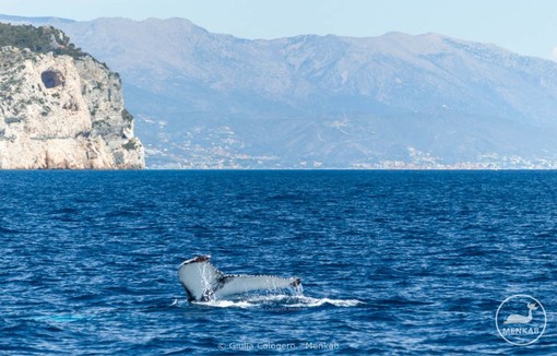 Foto di Giulia Calogero ed Elia Biasissi per Menkab - Il respiro del mare