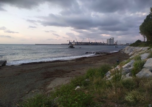 Albissola Marina, sopralluogo e interventi straordinari: al via la pulizia delle spiagge dopo le intemperie Albissola Marina, sopralluogo e interventi straordinari: al via la pulizia delle spiagge dopo le intemperie