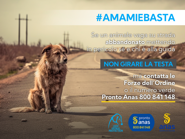 #AmamieBasta: Lndc Animal Protection e Anas insieme per la campagna antiabbandono animali e incidenti stradali #AmamieBasta: Lndc Animal Protection e Anas insieme per la campagna antiabbandono animali e incidenti stradali