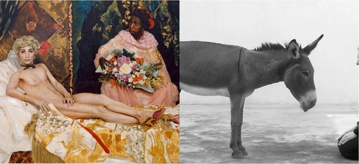 Albenga omaggia Marina Abramović a Palazzo Scotto Niccolari con la performance dal vivo “Il corpo dell’artista” Albenga omaggia Marina Abramović a Palazzo Scotto Niccolari con la performance dal vivo “Il corpo dell’artista”