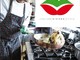 Lo chef Luca Tuveri Lo chef Luca Tuveri