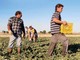 Mondo del lavoro e immigrazione nel territorio ingauno: problemi e risorse Mondo del lavoro e immigrazione nel territorio ingauno: problemi e risorse