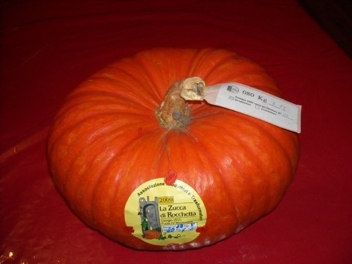 La zucca di Rocchetta di Cengio conquista tutti: grande successo per "Zuccainpiazza2014"