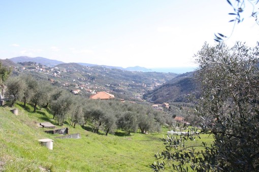 L'Olio DOP Riviera Ligure si presenta a OlioOfficina 2019 e conquista le famiglie milanesi