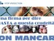 Loano, raccolta firme per dire basta alla vivisezione Loano, raccolta firme per dire basta alla vivisezione