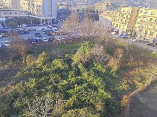 Cello (Uniti per Albisola): "Incuria e silenzio sul terreno di via Turati"