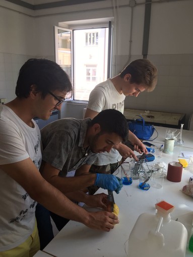 immagine di repertorio