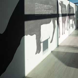 La Casa della Piemontese - Fotografia di Barbara Guazzone La Casa della Piemontese - Fotografia di Barbara Guazzone