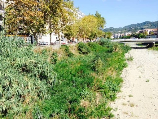 Maltempo in arrivo, Savona al lavoro. Assessore Parodi: "Attivata pulizia tombini e spazzamento"