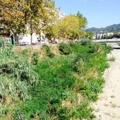 Maltempo in arrivo, Savona al lavoro. Assessore Parodi: "Attivata pulizia tombini e spazzamento" Maltempo in arrivo, Savona al lavoro. Assessore Parodi: "Attivata pulizia tombini e spazzamento"