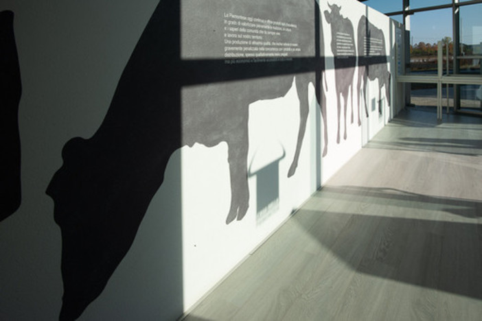 La Casa della Piemontese - Fotografia di Barbara Guazzone La Casa della Piemontese - Fotografia di Barbara Guazzone