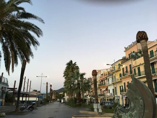 Loano, al via la rimozione dei ceppi delle palme abbattute sulla passeggiata a mare