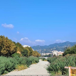 Savona, Letimbro invaso dalla vegetazione. Parodi: “Pianificati gli interventi, partiremo dai rii minori”