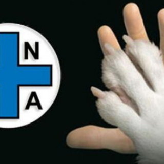 Il Ministero della Salute conferma: consentite attività di accudimento di animali in canili, gattili e colonie