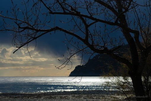 Il fiume Centa fotografato da Gino Tumbarello