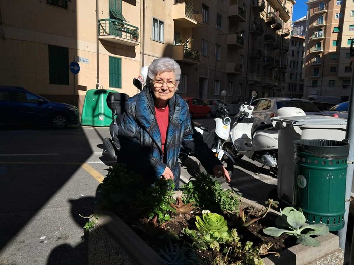Savona, una fioriera dimenticata adottata da “zia Lilly” diventa una piccola oasi verde