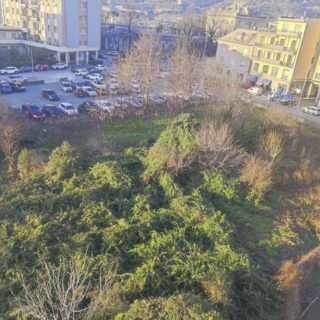 Cello (Uniti per Albisola): "Incuria e silenzio sul terreno di via Turati"