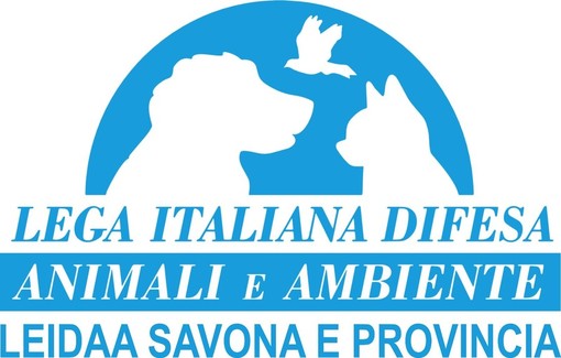 Savona, domani (25 febbraio) una raccolta alimentare pro animali promossa dalla Leidaa Savona, domani (25 febbraio) una raccolta alimentare pro animali promossa dalla Leidaa