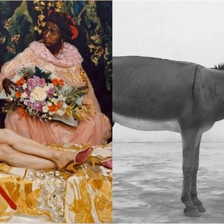 Albenga omaggia Marina Abramović a Palazzo Scotto Niccolari con la performance dal vivo “Il corpo dell’artista”