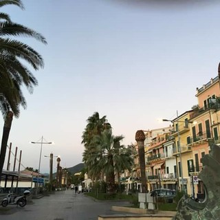 Loano, al via la rimozione dei ceppi delle palme abbattute sulla passeggiata a mare