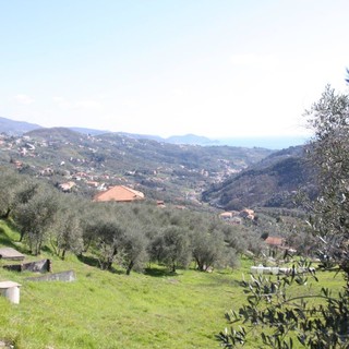 L'Olio DOP Riviera Ligure si presenta a OlioOfficina 2019 e conquista le famiglie milanesi