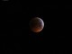 Eclissi totale di Luna: occhi, telescopi e macchine fotografiche puntate al cielo