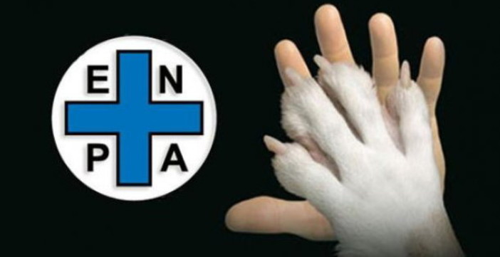 “Un Natale senza sangue nel piatto e sotto l’albero”: la proposta di Enpa “Un Natale senza sangue nel piatto e sotto l’albero”: la proposta di Enpa