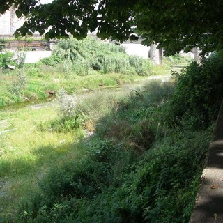 Savona: il Ceda chiede spiegazioni sulla pulizia del Letimbro