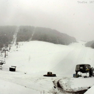 La "Gorba" a Limone