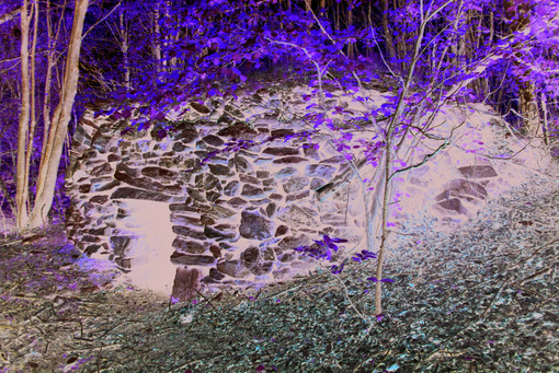 Loano aderisce a "Sentiero Liguria" Loano aderisce a "Sentiero Liguria"