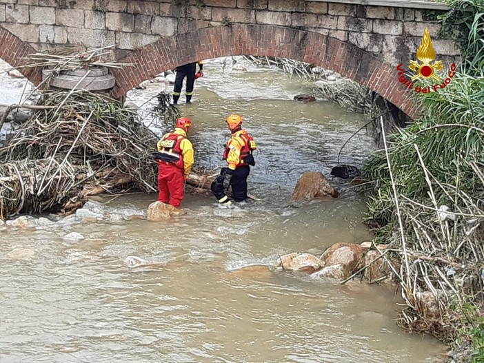 Loano, albero cade sulla massicciata della ferrovia: intervento dei vigili del fuoco (FOTO e VIDEO) Loano, albero cade sulla massicciata della ferrovia: intervento dei vigili del fuoco (FOTO e VIDEO)