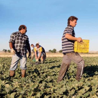 Mondo del lavoro e immigrazione nel territorio ingauno: problemi e risorse