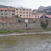 Messa in sicurezza del Letimbro tra il ponte Bianco di Lavagnola e il ponte autostradale, affidati i lavori Messa in sicurezza del Letimbro tra il ponte Bianco di Lavagnola e il ponte autostradale, affidati i lavori