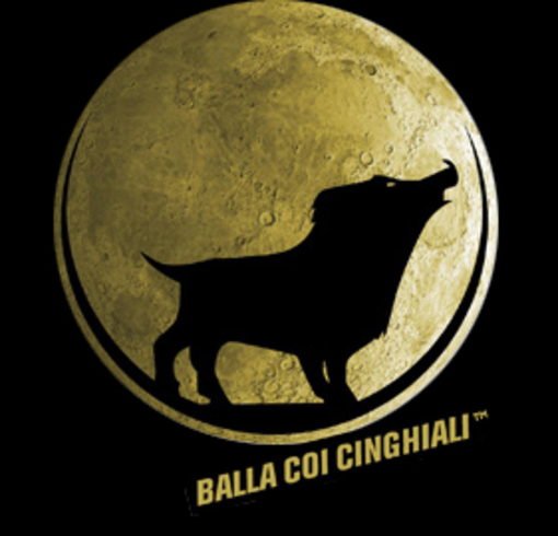 Salta l'edizione 2012 del festival "Balla coi cinghiali". Ancora poco chiare le ragioni