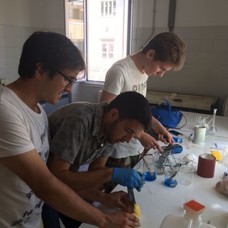 immagine di repertorio