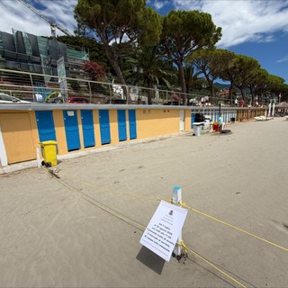 Alassio, Campo Sole 2026: approvato dalla Giunta il servizio di trasporto domiciliare per le famiglie che ne hanno fatto richiesta