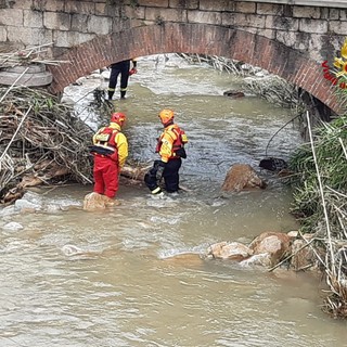 Loano, albero cade sulla massicciata della ferrovia: intervento dei vigili del fuoco (FOTO e VIDEO)
