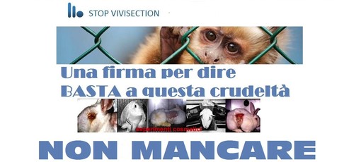 Loano, raccolta firme per dire basta alla vivisezione Loano, raccolta firme per dire basta alla vivisezione