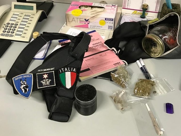Albenga, il fiuto del commissario Lupo non sbaglia: incastrato giovane pusher Albenga, il fiuto del commissario Lupo non sbaglia: incastrato giovane pusher