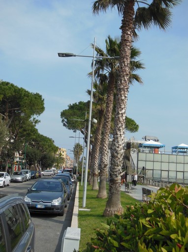 Loano: iniziano i lavori di adeguamento dell'impianto luminoso Loano: iniziano i lavori di adeguamento dell'impianto luminoso