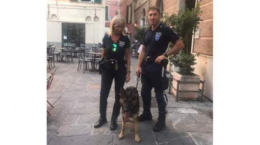 Albenga, un piano specifico di controllo del territorio messo a punto dalla Polizia Locale Albenga, un piano specifico di controllo del territorio messo a punto dalla Polizia Locale