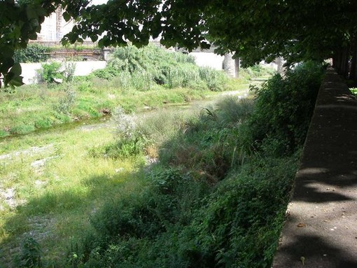 Savona: il Ceda chiede spiegazioni sulla pulizia del Letimbro