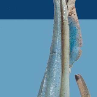 Loano: sarà aperta al pubblico domani la mostra di Renzo Igne