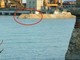 Il Caso Maersk: Quarta e penultima puntata (di Matteo Loschi)