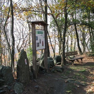 Varazze, chiude la mostra del Museo Archeologico dell'Alpicella: "Una decisione politica che penalizza la cultura e i volontari"