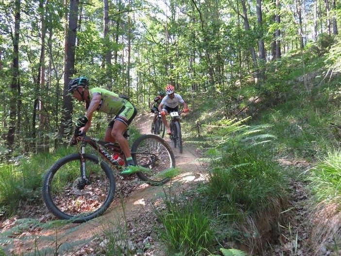 Mallare punta sull'outdoor: in arrivo quattro sentieri per le mountain bike Mallare punta sull'outdoor: in arrivo quattro sentieri per le mountain bike